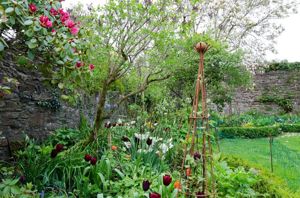 Heron House Bampton  Esterno foto